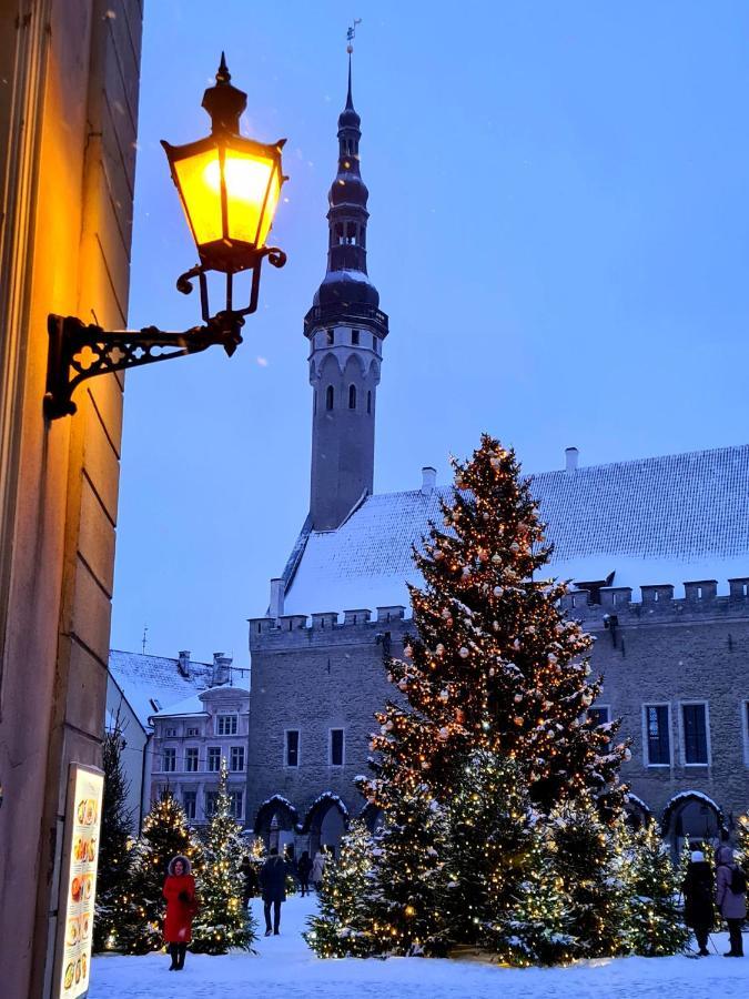 Cozy Apartment In Old Town Таллин Экстерьер фото